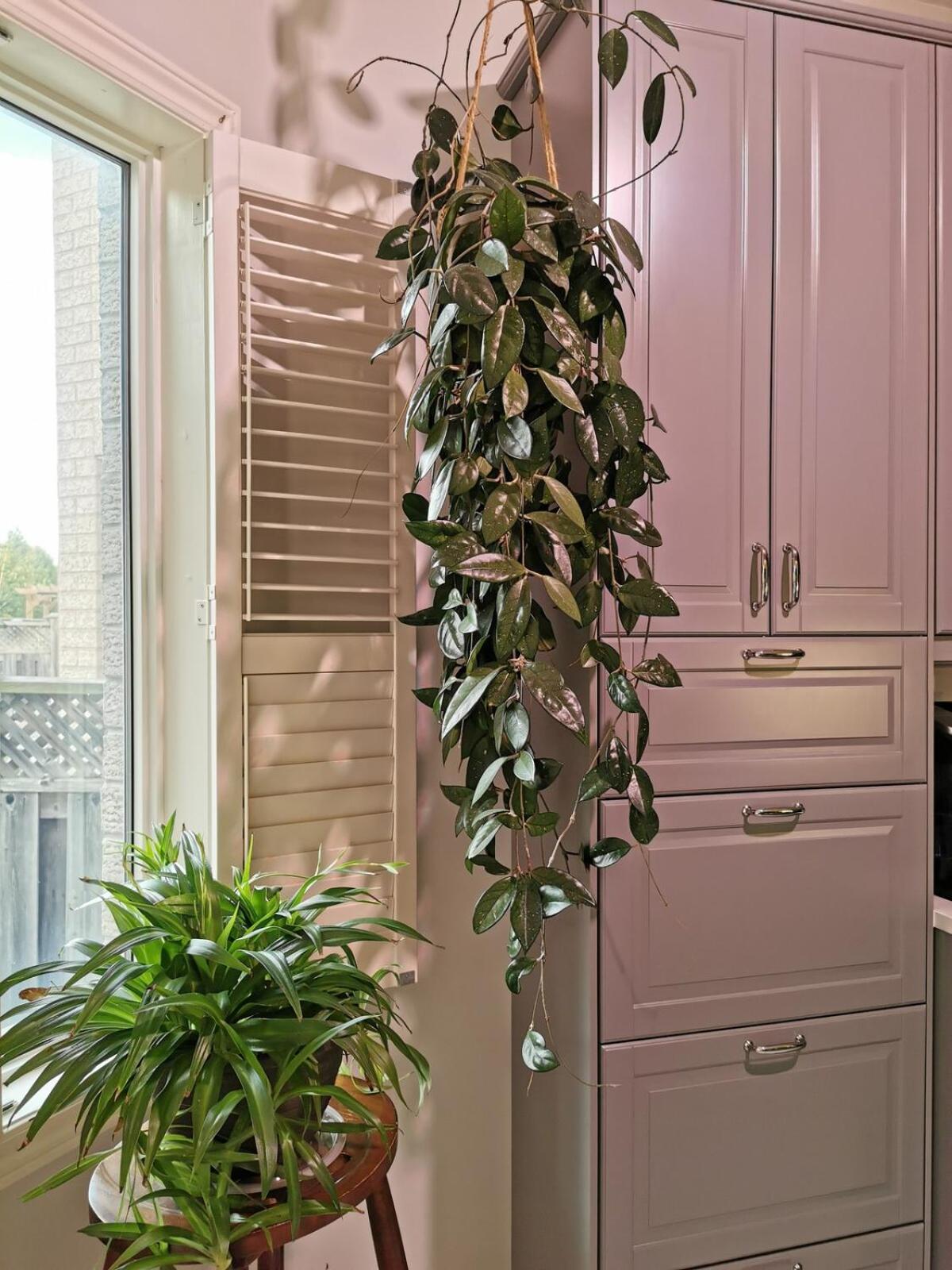 4 Bedroom 3 Washroom Charming Home In Markham With Warm Cozy Vibe Exteriér fotografie